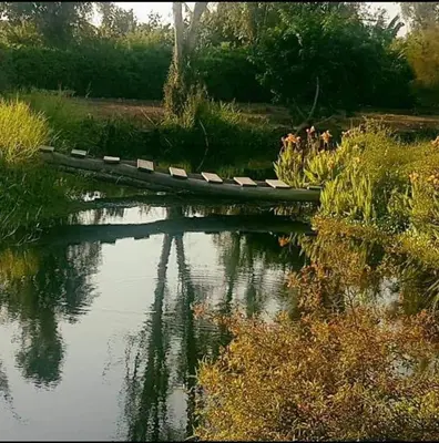 a wooden bridge over a body of water at Casa de Campo con lago en Mala in Mala