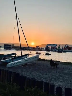 a dog standing on the beach with a boat at Casa Paraquitas 