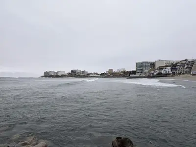 a dog laying in the water next to a beach at Departamento en San Bartolo in San Bartolo