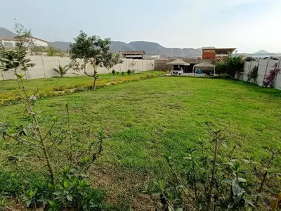 a yard with a green field of grass and a house at Country house in Pachacamac in Lima
