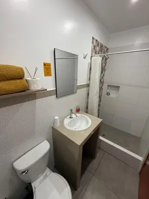 a bathroom with a toilet and a sink and a shower at Atenas Backpacker Hospedaje in Paracas