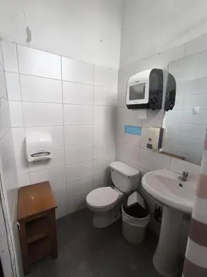 a small bathroom with a toilet and a sink at Flying Dog Hostel in Lima