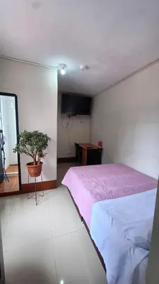 a bedroom with a pink bed and a potted plant at Hospedaje Casa de Liz Cusco in Cusco