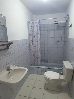 a bathroom with a sink and a toilet and a shower at Dpto Familiar en San Bartolo in San Bartolo