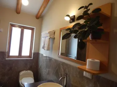 a bathroom with a sink and a mirror and a plant at Casa Higospampa, 2 Floors Up to 7 Residents in Urubamba