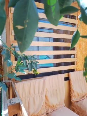 a view of a window with a couch and a plant at Bugambilia house in La Tinguiña