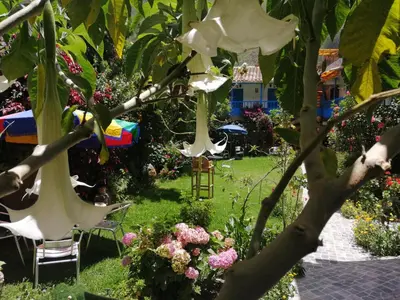 a garden with white flowers and a table and chairs at Las Portadas in Ollantaytambo