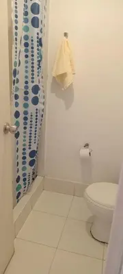 a bathroom with a shower curtain and a toilet at 10p dpto in Lima