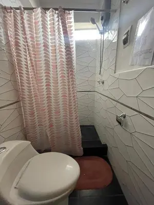 a bathroom with a toilet and a shower curtain at Mirador Vip Apartment in Cusco