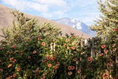 a field of flowers with a mountain in the background at Stunning 1BR House in Camino Real in Urubamba