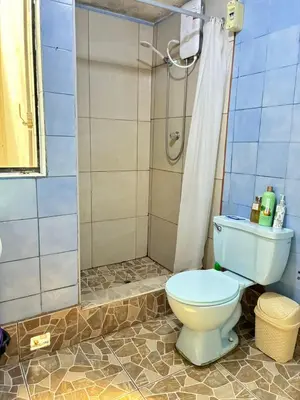 a bathroom with a toilet and a shower at Green Love in Lima
