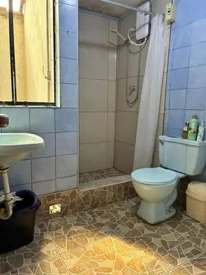 a bathroom with a toilet and a shower and a sink at Green Love in Lima
