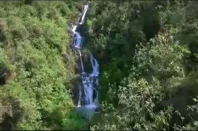 an aerial view of a waterfall in a forest at RiKCHARiY in Primavera