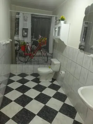 a bathroom with a toilet and a sink and a bike at Angelica's House Apartments in Lima