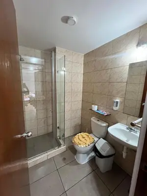 a bathroom with a shower and a toilet and a sink at DEPARTAMENTO FRENTE ARENa 1 in Lima