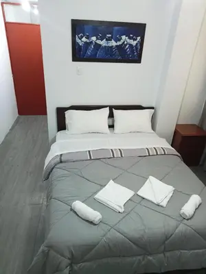 a bedroom with a large bed with two white pillows at Habitación cama QUEEN 1B in Lima
