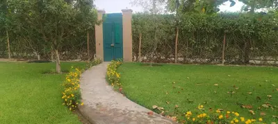 a house with a green door in a yard at Bungalow 23 in El Carmen