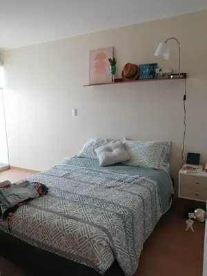 a bedroom with a bed and a shelf on the wall at Acogedor y cómodo departamento de 2 Habitaciones en Magdalena in Lima