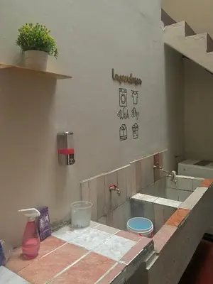 a kitchen with a counter with a plant on the wall at Cuzco Lodgement in Lima