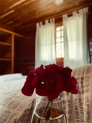 a vase filled with red flowers sitting on a bed at Yoly cabaña in San Francisco