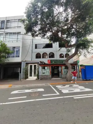 a person walking down a street next to a tree at Habitación céntrica con vistas Larco in Lima