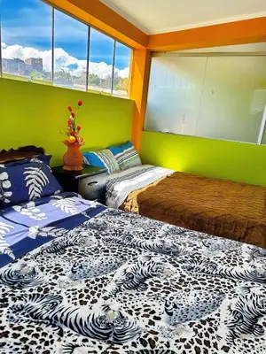 two beds in a room with green walls and windows at Departamento completo cerca de la Plaza ,cocina equipada y vista a la ciudad in Ayacucho