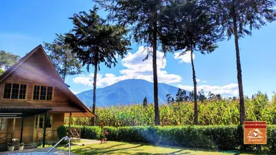 a house with a view of a field and trees at La Casa de Darío - Hospedaje y Casa de Campo en Oxapampa con Piscina in Oxapampa