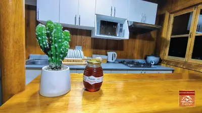 a jar of honey and a plant on a table in a kitchen at La Casa de Darío - Hospedaje y Casa de Campo en Oxapampa con Piscina in Oxapampa
