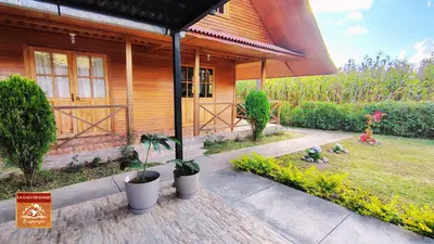a house with potted plants in front of it at La Casa de Darío - Hospedaje y Casa de Campo en Oxapampa con Piscina in Oxapampa