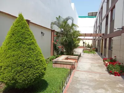 a courtyard of a building with a tree and bushes at Magdalena del Mar, mejor ubicación imposible in Lima