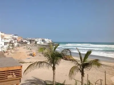 a beach with two palm trees and the ocean at Alquilo Departamento en Playa Pulpos in Lurín