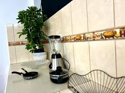a blender sitting on a counter next to a plant at Casa Raíz Cusco in Cusco