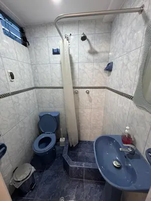 a bathroom with a blue toilet and a sink at Ankay House in Cusco