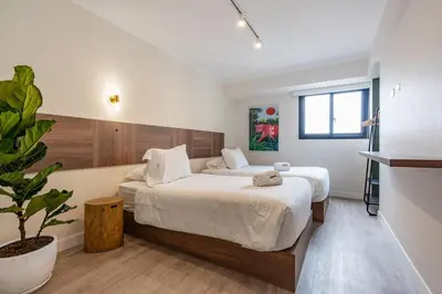 a bedroom with a large bed and a potted plant at Bagheera 2BR by Geko in Lima