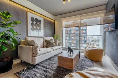 a living room with a couch and a dog sitting on a coffee table at Stelar by Geko in Lima