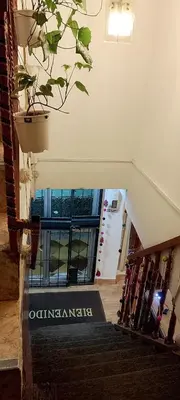 a staircase in a building with a plant at INKA's WALK in Cusco