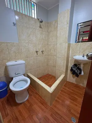 a bathroom with a toilet and a shower and a sink at Hospedaje Winikunka in Lima