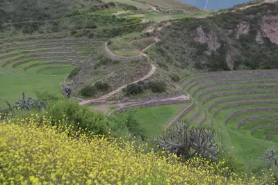 a dirt road on a hill with grass and flowers at Casa Takiy in Maras