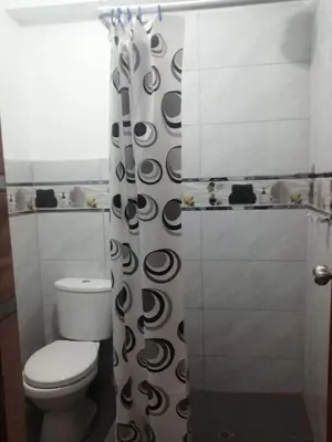 a bathroom with a toilet and a shower curtain at Alojamiento Miller in Ayacucho