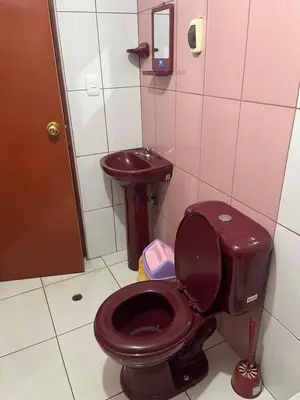 a bathroom with a purple toilet and a sink at Habitación 2 camas in Ayacucho