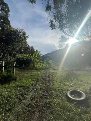 a tire laying on the grass in a field at Albano Casa en bosque de conservación privado in Oxapampa