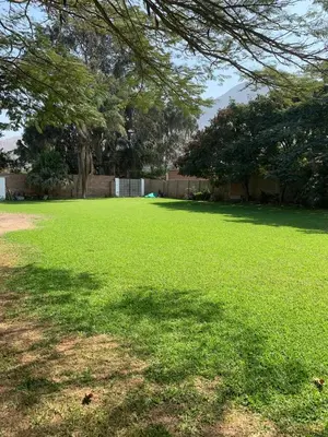 a large field of grass with a tree in the foreground at Sunny refuge with large gardens in Cieneguilla