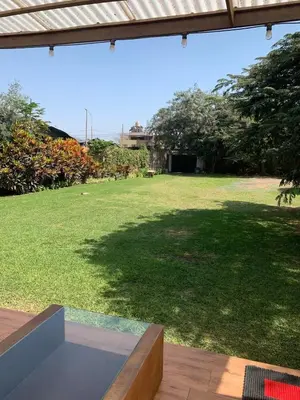 a view of a yard with a large lawn at Sunny refuge with large gardens in Cieneguilla