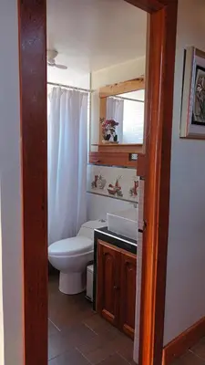 a bathroom with a toilet and a sink and a mirror at La Cabaña de Mary in Oxapampa