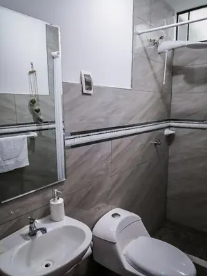a bathroom with a toilet and a sink and a mirror at Amplio departamento completo cerca al aeropuerto in Lima