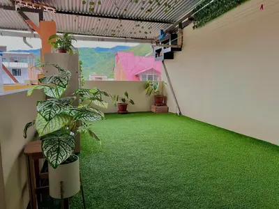 a room with green carpet and plants in it at Habitación premium y moderna in La Merced