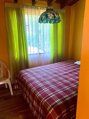 a bedroom with a bed with green curtains and a window at Casa de Campo en Santa Eulalia in Santa Eulalia