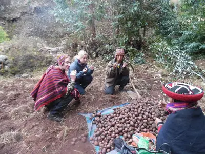a group of people kneeling around a pile of potatoes at Casa de Gumercindo in Ccorcor