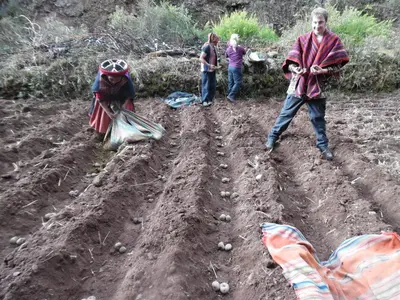 a group of people working in a dirt field at Casa de Gumercindo in Ccorcor