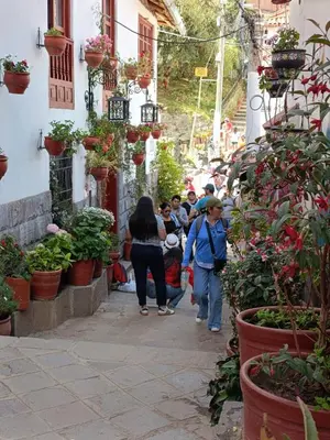a group of people walking down a street with potted plants at 7 Borreguitos GUESTHOUSE in Cusco